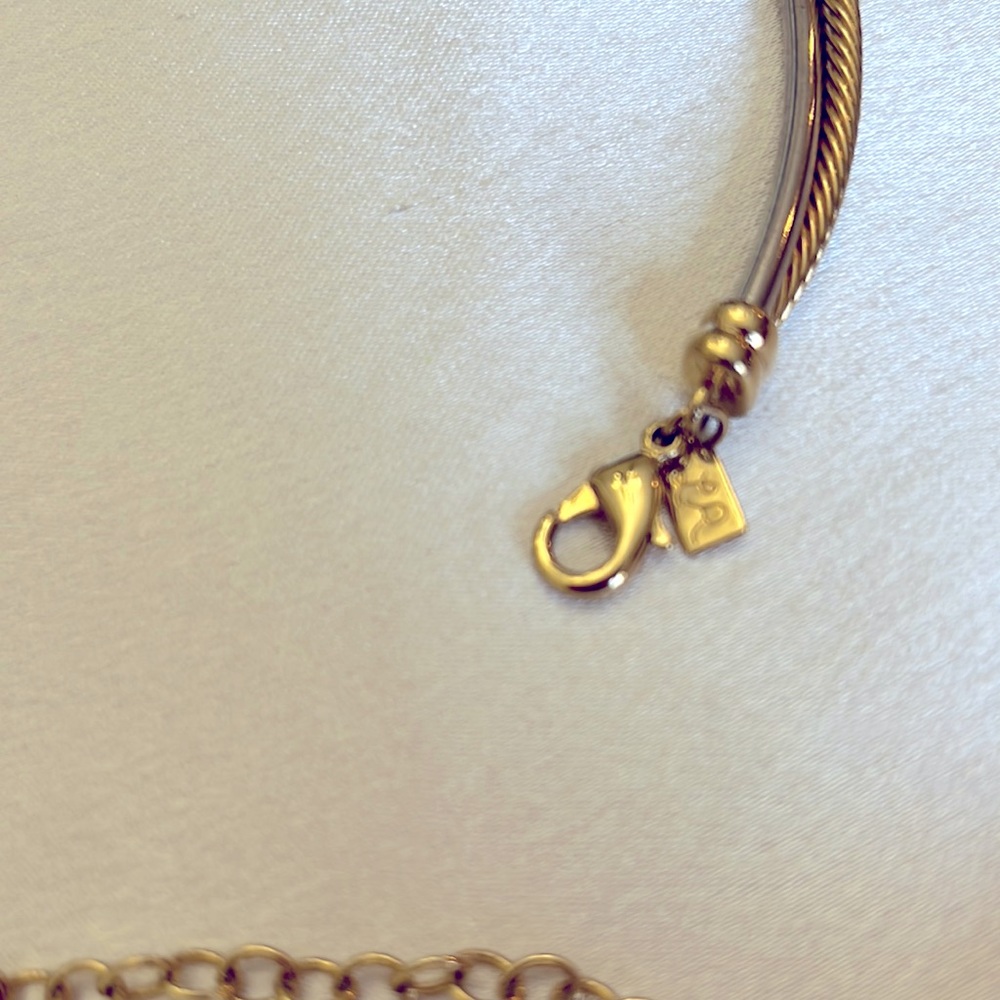 Lia sophia LR Silver & Gold Necklace - Picture 5 of 5